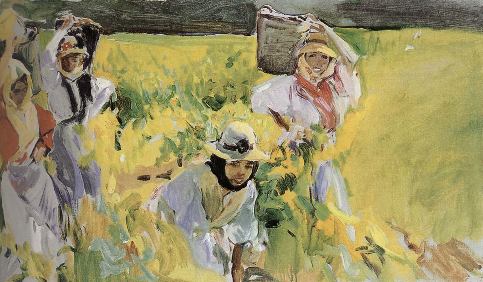 Joaquin Sorolla Sherry grape mining